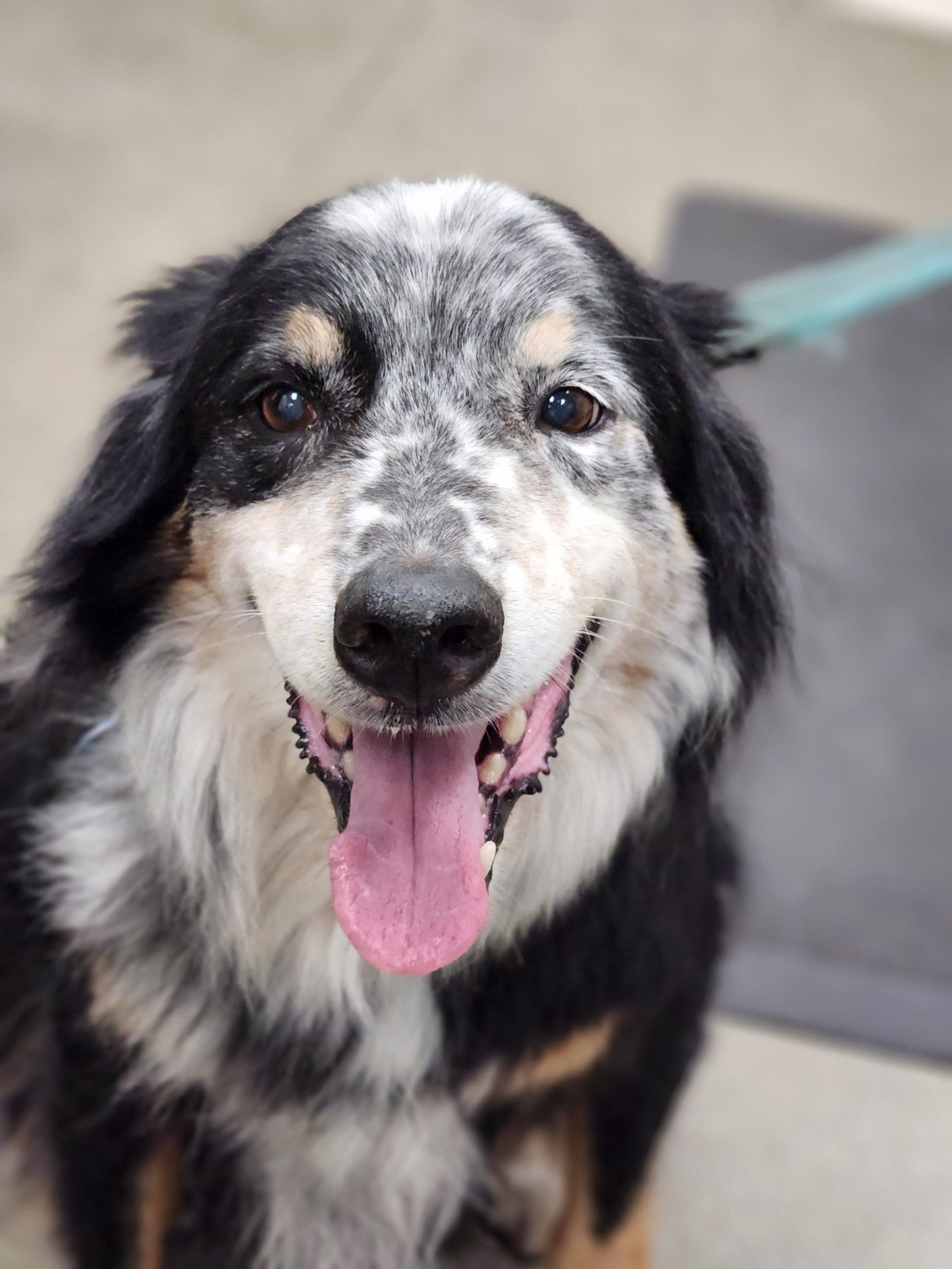 Cody is all smiles